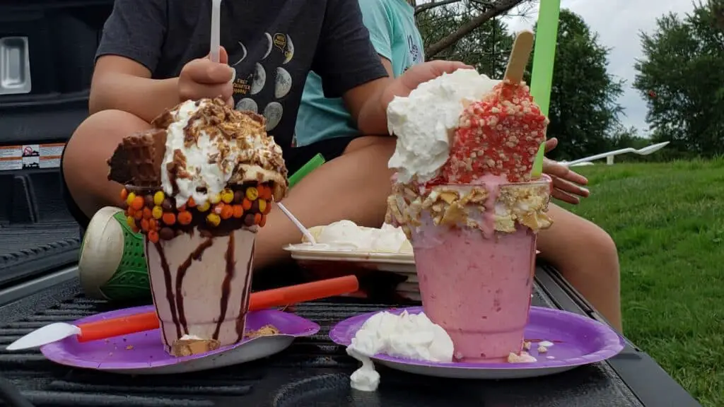 Crazy Shakes at Terry's Ice Cream And Dairy Bar near Rocky Fork State Park in Ohio